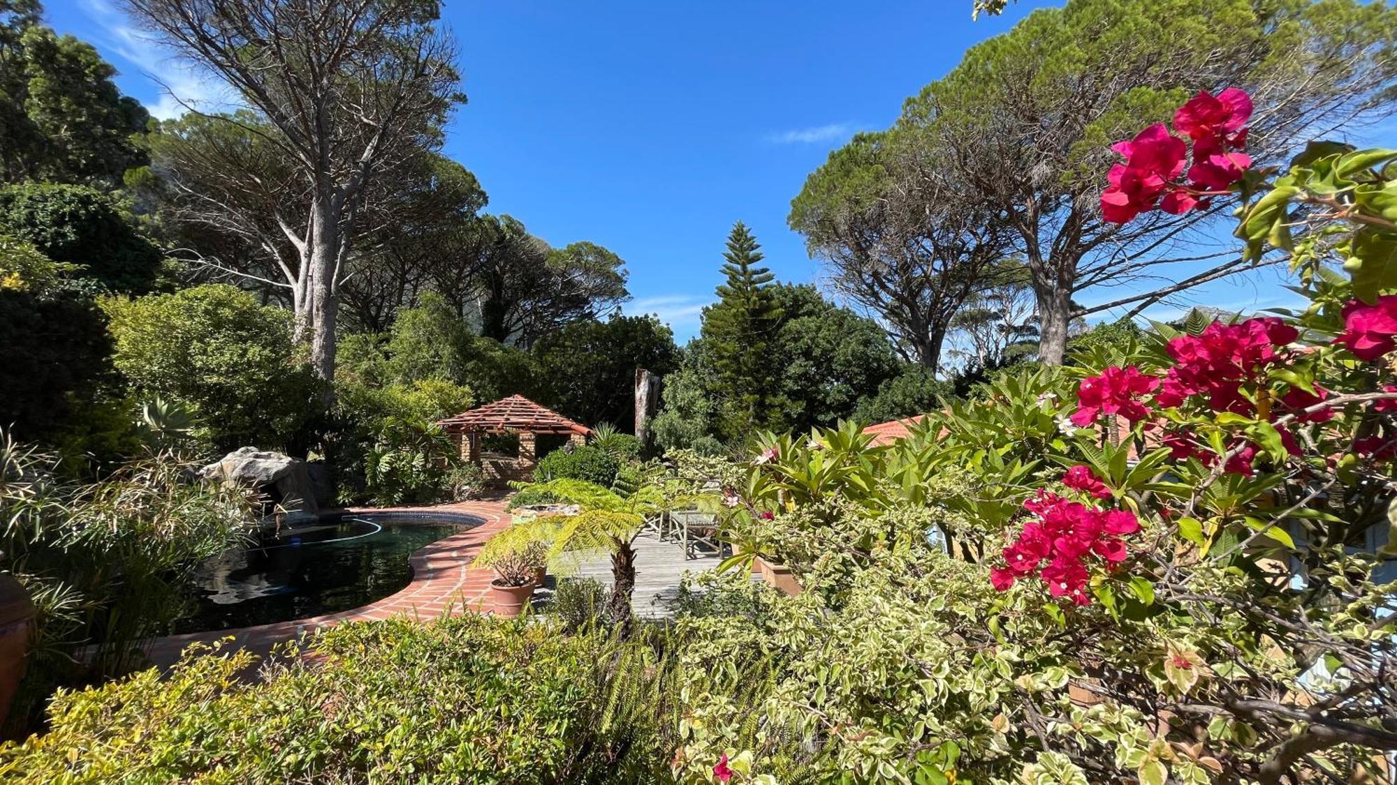 Вілла Unique Hout Bay House Екстер'єр фото