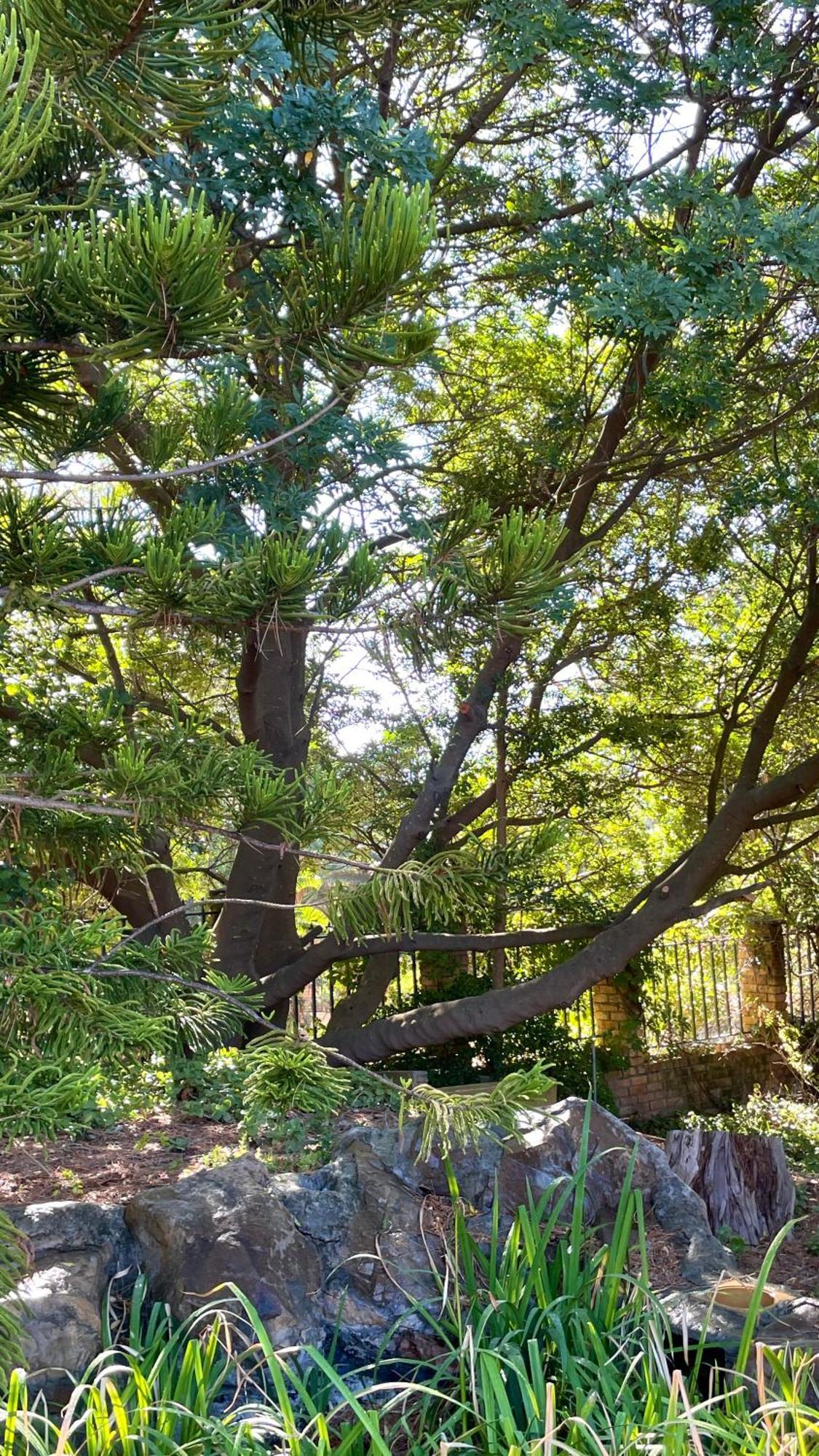 Вілла Unique Hout Bay House Екстер'єр фото
